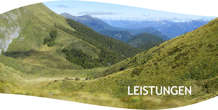 Was bietet wellsong® ?