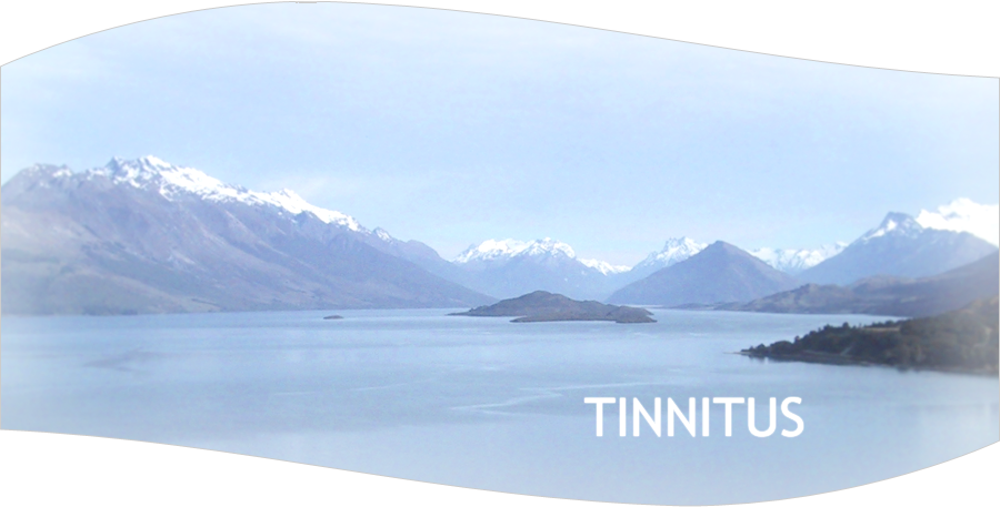 Tinnitus Musiktherapie Berlin