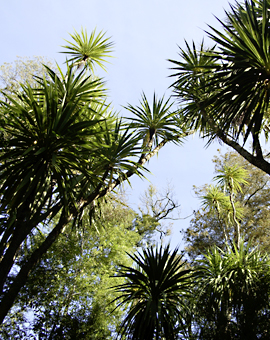 Referententätigkeit