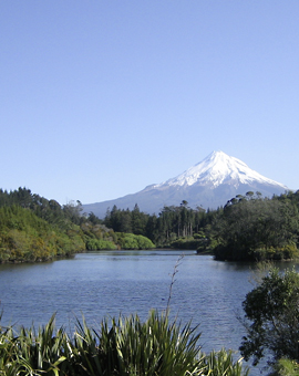 Heilende Wirkung der Musik bei Tinnitus