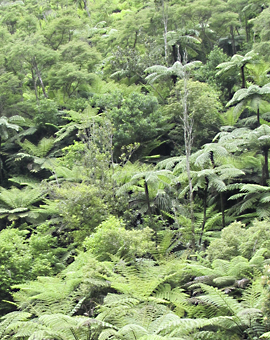 Lebensqualität verbessern