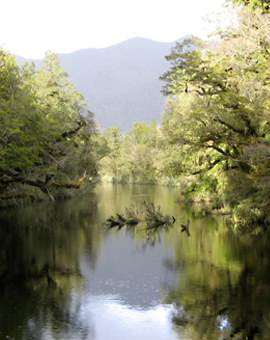 wellsong® Musikimprovisation