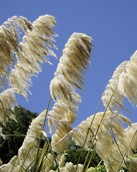 Fortbildung als Hörtherapeutin